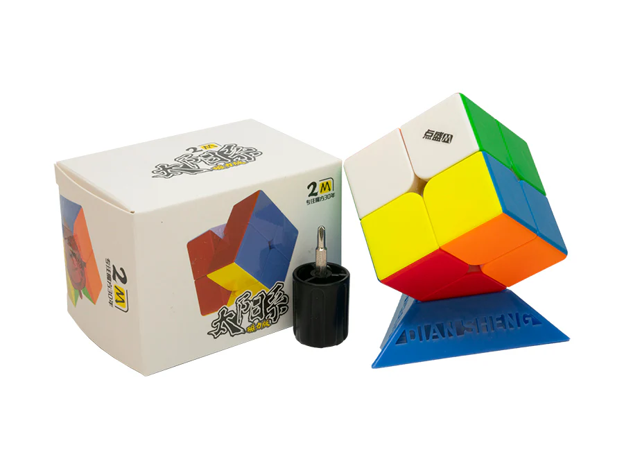 DianSheng 2x2 M
